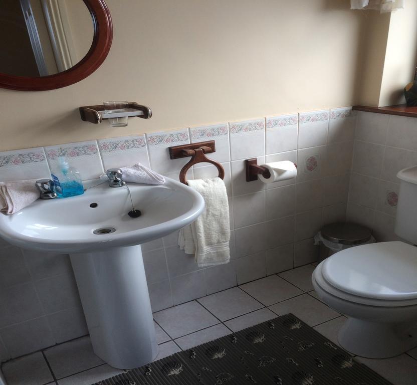 Seanor House Bed & Breakfast แบลลีบัลเนียน ภายนอก รูปภาพ